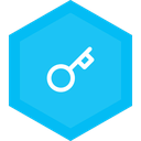 Key icon inside a blue hexagon, symbolizing security or access control.