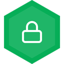 Green hex badge with a white padlock, indicating security or protected data